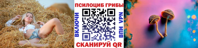 shop официальный сайт  Лаишево  Псилоцибиновые грибы мицелий  blacksprut tor 